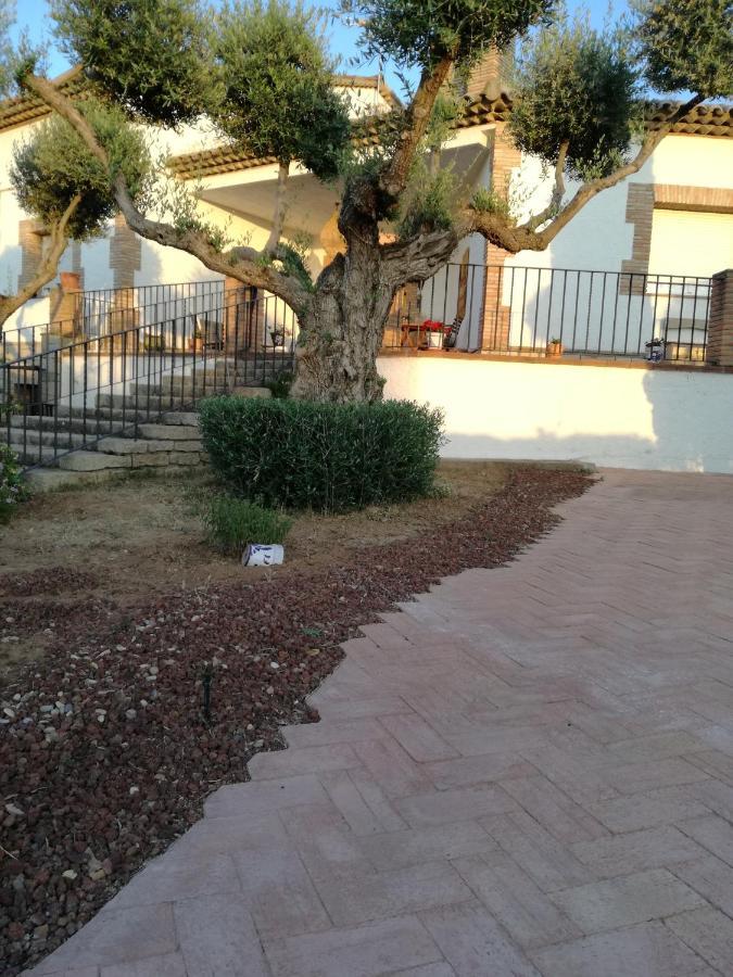 Casa Rural La Amistad Villa Burguillos de Toledo Exterior foto
