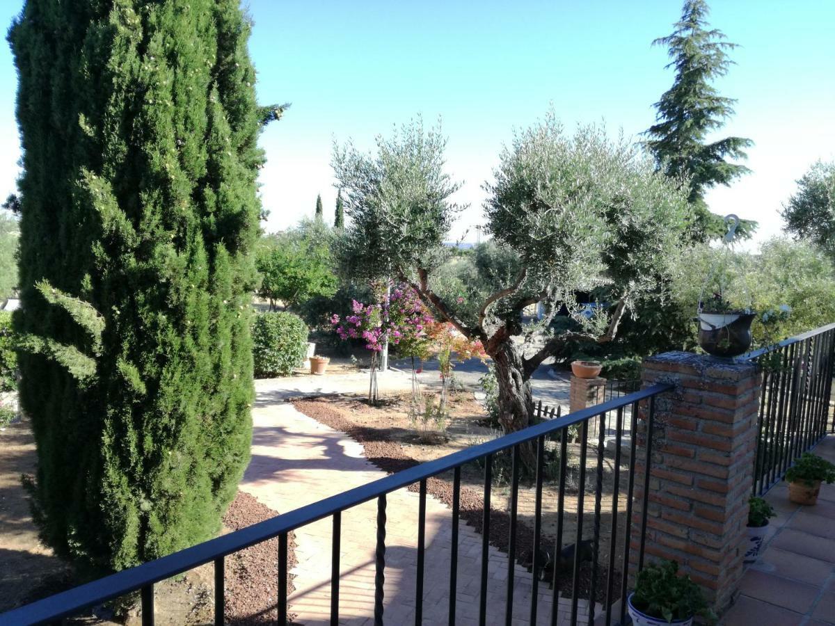 Casa Rural La Amistad Villa Burguillos de Toledo Exterior foto